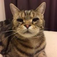 UMEさん 卵巣がん