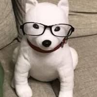 ツヨパパさん 卵巣がん