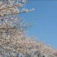 naaeさん 子宮頚がん