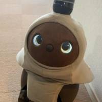 紅茶キノコさん 卵巣がん