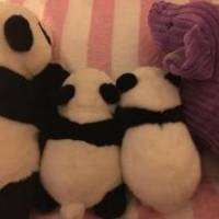 ぱんださん 子宮頚がん
