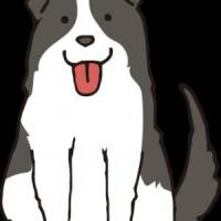 ダルルさん 子宮頚がん
