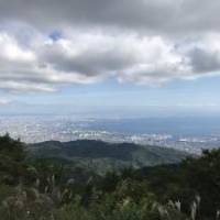 じゅんさん 大腸がん