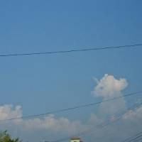 nozoさん 卵巣がん