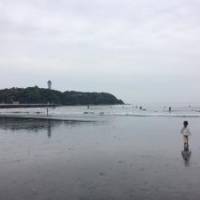 しおぞうさん 大腸がん