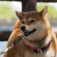 ぬうさんさん 大腸がん