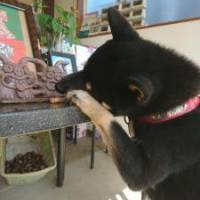 ふくたろうさん 卵巣がん