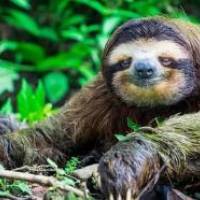 スロスさん 卵巣がん