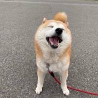 青い海さん 大腸がん