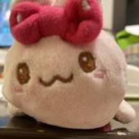 ちびうささん 卵巣がん