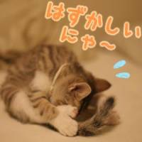 しみうささん 大腸がん