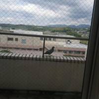 はるあやママさん 大腸がん
