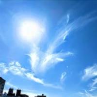 とろろまいさん 大腸がん