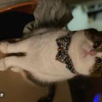 たくや29さん 膀胱がん