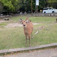 マロンマロン22さん 大腸がん