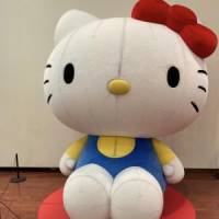 いわっちさん 悪性リンパ腫