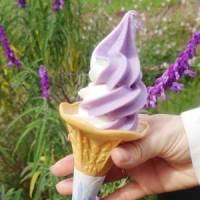 はる。さん 子宮頚がん