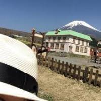 ゆうさん 大腸がん