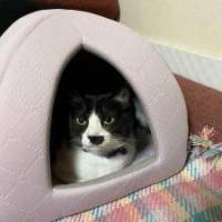 aya10tara1さん その他