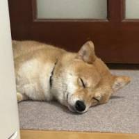 ace2025さん 大腸がん