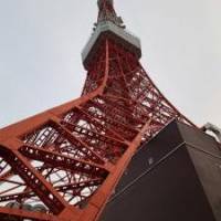 つくねさん 大腸がん