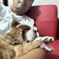 ちんサブさん 膀胱がん