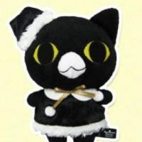 黒猫さん 膵（すい）臓がん
