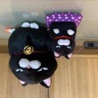 ムギハナさん 膵（すい）臓がん