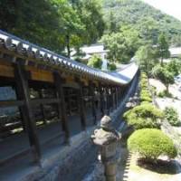 岡2004さん 前立腺がん