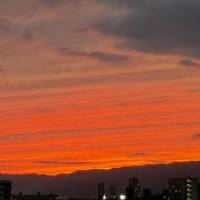 くろともさん 下咽頭がん