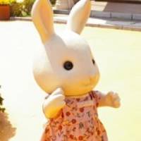 なすむらさん 卵巣がん