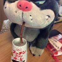 けいさん 大腸がん