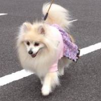 メリーさん 大腸がん
