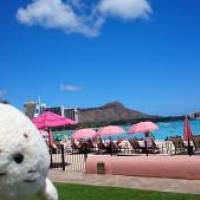 yosshiさん 子宮頚がん