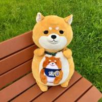 すだちさん 卵巣がん