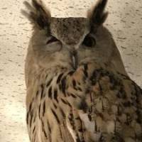 やまちんさん 子宮頚がん