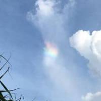 うたなさん 大腸がん
