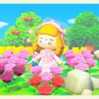 サイさん 大腸がん