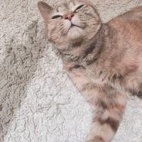 catiさん 肺がん