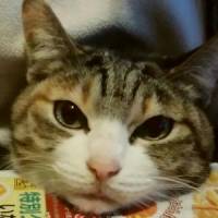 ベリーさん 大腸がん