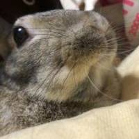 まぁべぇさん 子宮頚がん